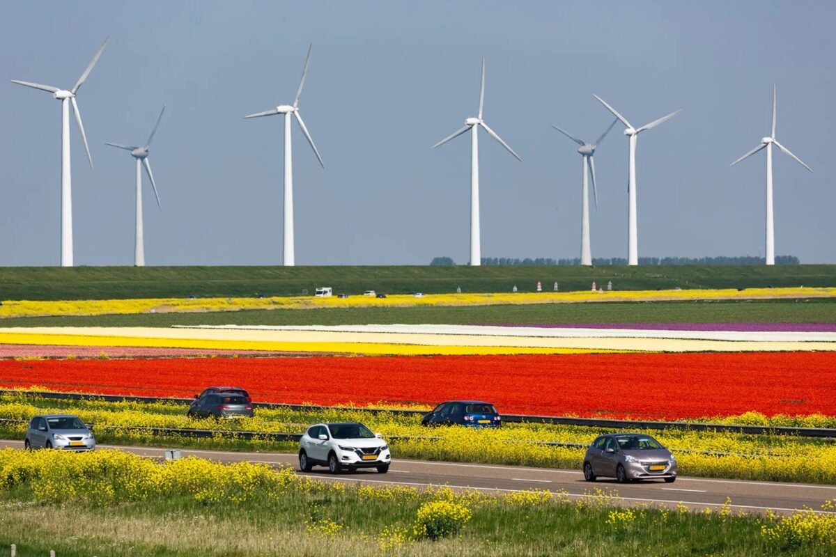 Hoe haalt u een rijbewijs in Nederland?